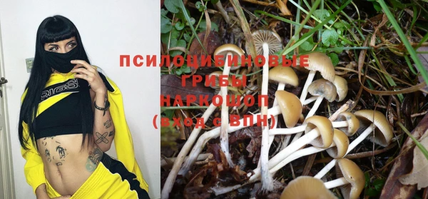 тгк Белокуриха