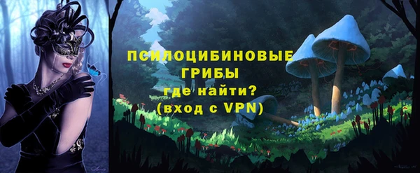 тгк Белокуриха