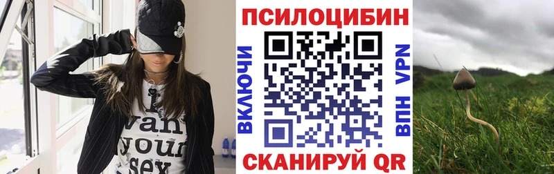дарнет шоп  Пикалёво  Галлюциногенные грибы мухоморы 
